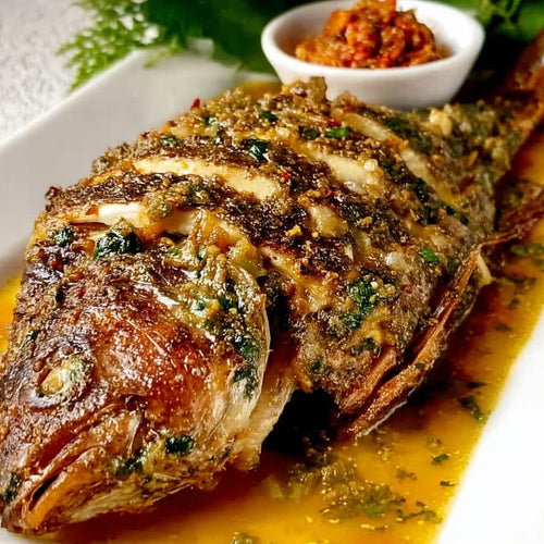 Poisson brisé