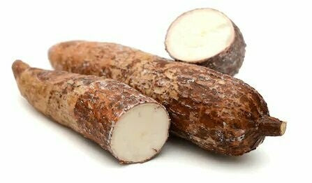Manioc frais